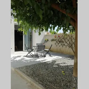 Avec Terrasse Apartment